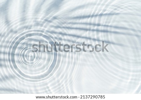 Water drops fall on the transparent surface of the water and the shadow of a palm leaf. Top view, flat lay.