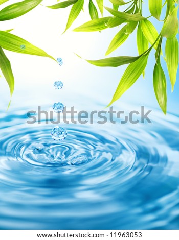 Image, Stock Photo raindrops falling Plant