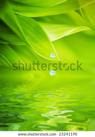 Similar – Image, Stock Photo raindrops falling Plant