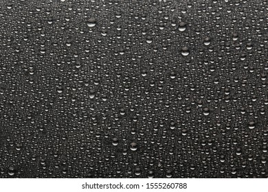 Water Drops On Black Background Stock Photo 1555260788 | Shutterstock