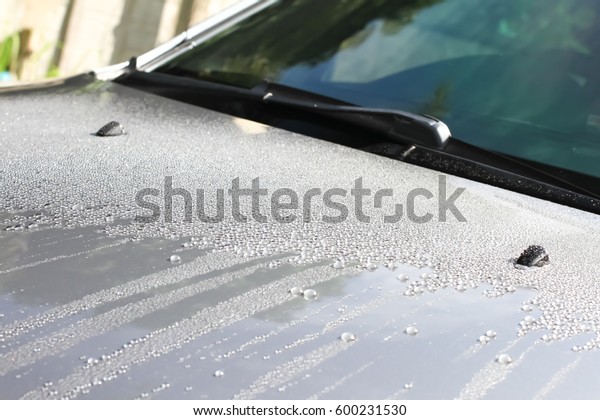 Water drops on car\
surface