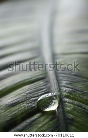 Similar – Image, Stock Photo beaded Drops of water