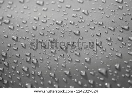Water drops on gray background closeup grayscale selective focus, shallow depth of field