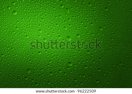 water drops on green