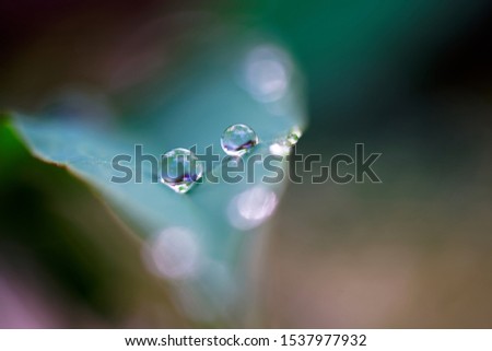 Similar – after the rain… Natur