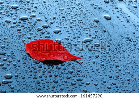 Similar – Image, Stock Photo car wash wet leaf foliage
