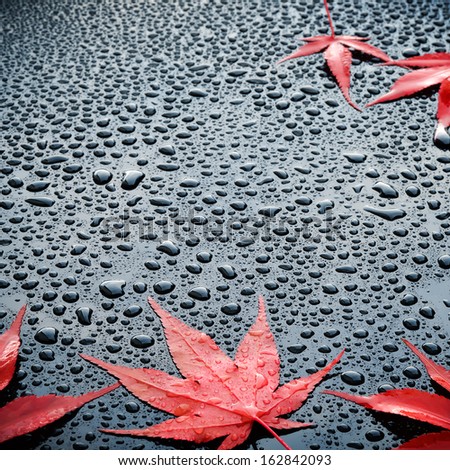 Similar – Image, Stock Photo car wash wet leaf foliage