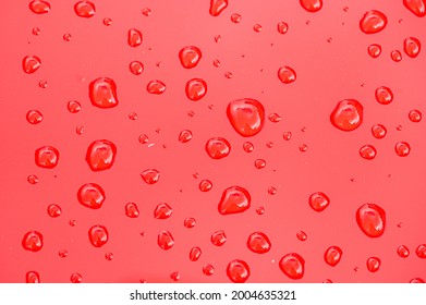 Water Drops On A Red Car Bonnet