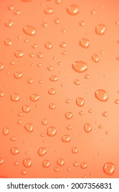 Water Drops On A Red Car Bonnet