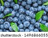 blue berry background