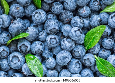 Water drops on ripe sweet blueberry. Fresh blueberries background with copy space for your text. Vegan and vegetarian concept. Macro texture of blueberry berries.Texture blueberry berries close up