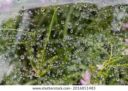 Similar – Foto Bild Blick durchs Fenster nach dem Regen