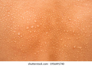 Water drops on the woman back skin. Human skin and sweat. Close up of wet skin.