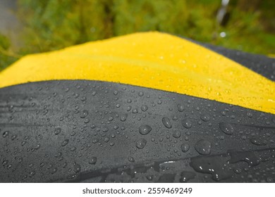 Water drops on yellow and black umbrella
, A Multicolored Umbrella Covered in Raindrops During a Rainy Day - Powered by Shutterstock