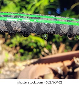 Water Drops From Soaker Hose In Garden. 