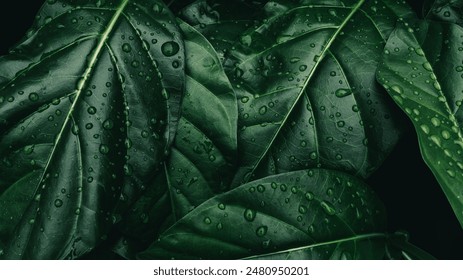 water drops splashing on green leaf, purity nature background - Powered by Shutterstock