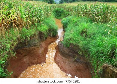 Water Erosion Through The Area