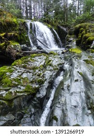 Water Etches Its Path Perserverance Creek Vancouver Island 