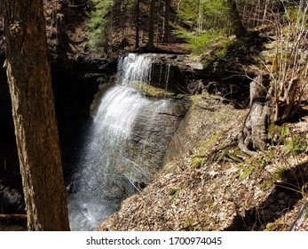 water fall in the forest