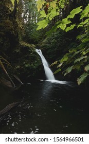 Water Fall In Goldstream Provincial Park