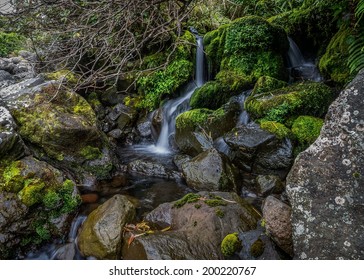 Water Fall On The Wilkies Pools Loop Track - Kaponga, Egmont National Park 