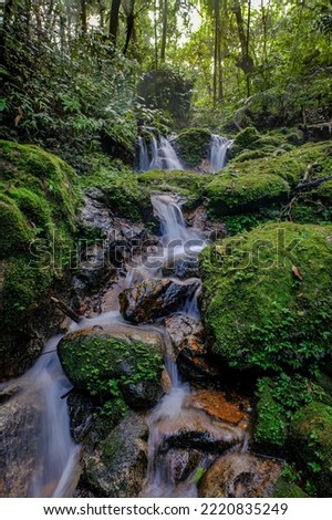 Similar – Image, Stock Photo River trough forest