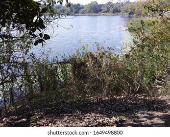 Water Falls Forest Jhil In Clean Coop And Beautiful Green Trees Plant Fresh Leaf And Ground In Coop Must Beautiful Of Best Drinking Water Haby Water Mashin In A Saflay Water People Village