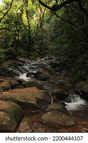 Water Falls Long Shutter Water Trills