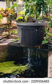 Water Filter System And Adding Oxygen To The Water For Fish Pond, Home Made Do It Yourself Things And Idea