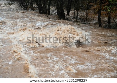 Water floods and landslide during heavy rain. Swollen river in autumn. Muddy and dirty water flows. Raging river.