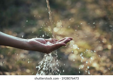 Water Flow To Hand In The Garden On Nature Background.