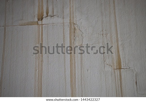 Water Flowing Ceiling Water Marks On Stock Photo Edit Now