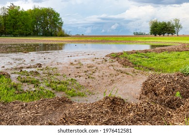 Water Flowing From Flooded Farm Field After Thunderstorm. Concept Of Crop Damage, Soil Erosion And Flooding. 