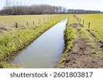 Water flowing through a drainage ditch in a farm field, creating a peaceful rural scene
