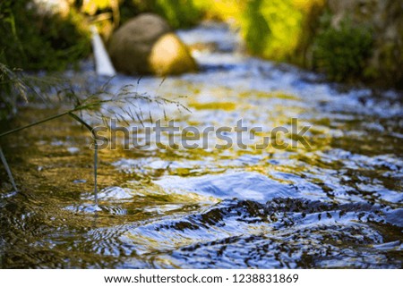 water flowing through stones and trees in forest nature. 