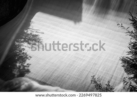 Water flows down dam in black and white with shadows of trees and trees on the edge
