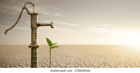 Water flows from the rusty water pump to the plant in the desert. Drought and water scarcity caused by global warming
