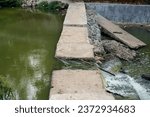 water flows in a small exit dam. Scenic view of river flowing in forest