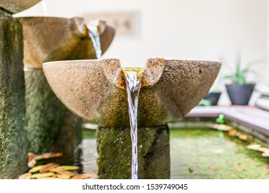 Water Fountain In Backyard Aloe Vera Garden