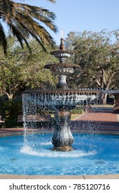 3 Howard gilman memorial park Images, Stock Photos & Vectors | Shutterstock