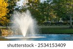 A water fountain in a pond