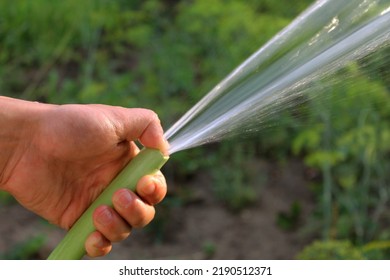 water the garden with a hose, hose in hand, water the crop, water splashes, gardening, gardener, Hand holding a watering hose, sprayer, watering plants in the garden, hose pipe, shooting water