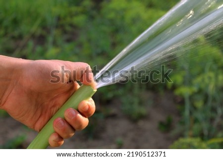 water the garden with a hose, hose in hand, water the crop, water splashes, gardening, gardener, Hand holding a watering hose, sprayer, watering plants in the garden, hose pipe, shooting water