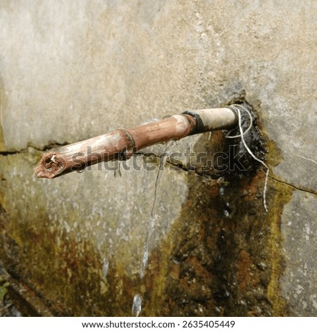 Water gently dripping from a rustic bamboo spigot embedded in a weathered, mossy wall. Symbolizes natural spring water and traditional utility in an authentic outdoor setting