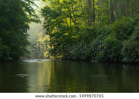 Water gently flowing down Abrams Creek in the late evening sun.  Smoky Mountains National Park, Tennessee, USA