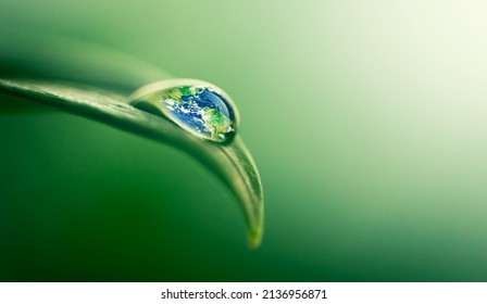 Water gives life. Closeup shot of a water droplet on a leaf. - Powered by Shutterstock