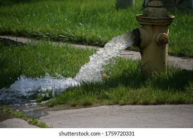 Water Gushing From Fire Hydrant