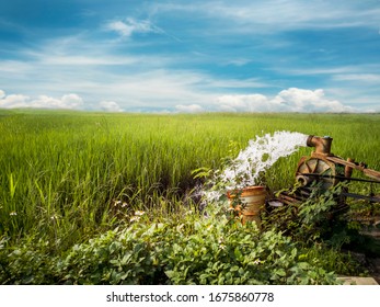 Water Gushing Out From Tube Well Through Pipeline For Irrigating The Agricultural Fields