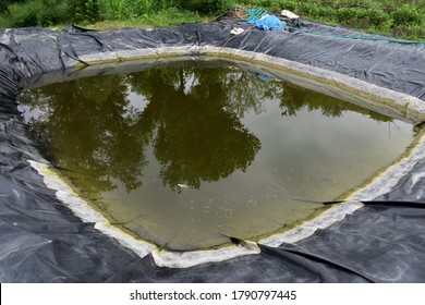 Water Harvesting Pond For Drip Irrigation And Farming With Less Water For More Crop