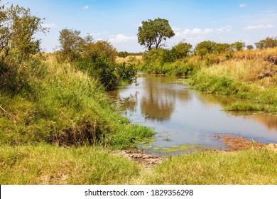 Water Hole In African Savanna